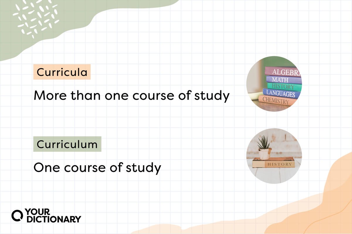 Curricula